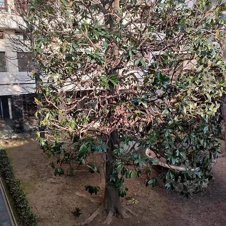 Turati Garden Apartment Turin